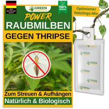 Raubmilben gegen Thripse | 1–50 Tüten Nützlinge für Zimmerpflanzen & Cannabis,
