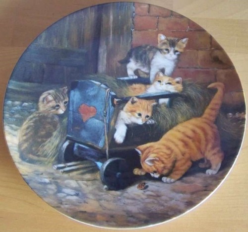 Katze sammelteller katzen die - sammelteller,