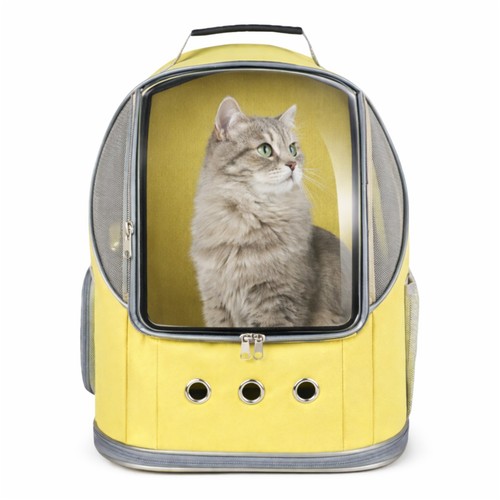 Katze hund rucksack - hund,