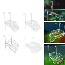 Schildkröten Aalplattform