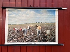 Schulwandkarte Baumwolle Ernte