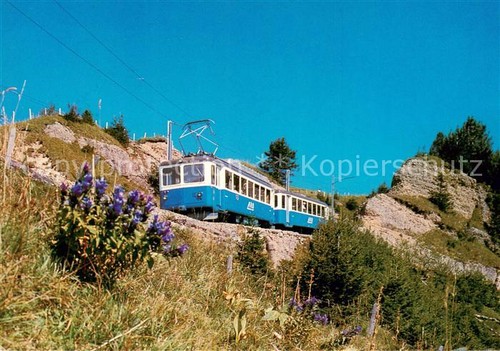 Bergbahn rigi arth - rigi, bahn