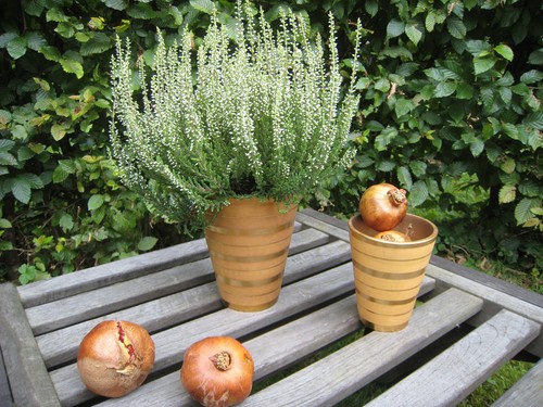 übertopf blumenübertopf - Übertopf,