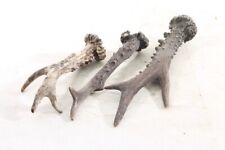 Rehgehörn Stangen Geweih Design Deko Unikat Basteln