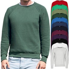 Fruit the loom sweatshirt - fruit,