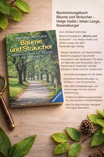 Bäume und sträucher - und, –