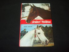 Kurt knaak araber - -, araber-vollblut
