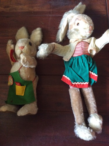 Hase tier rabbit - ],