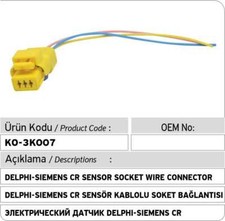 Delphi Siemens Common Rail