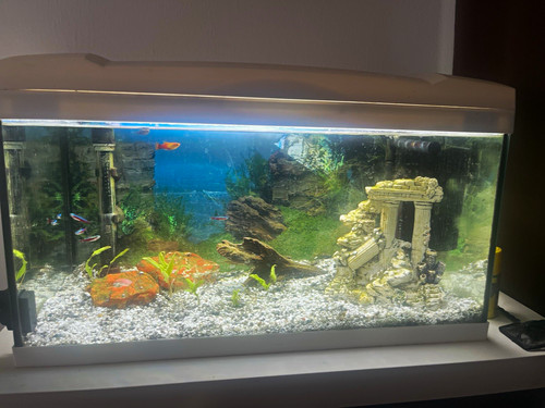 54l aquarium komplettset - 54l,