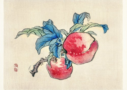 Elegante botanische wandkunst - elegante,