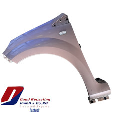 Renault Twingo 2 Kotflügel