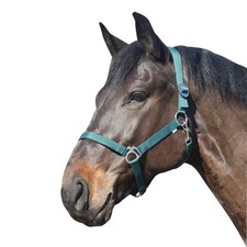 ELDORADO Pferde-Halfter