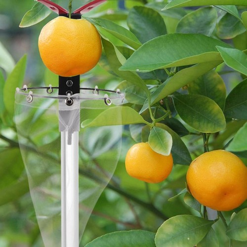 Obstpflückkopf edelstahl - obstpflückkopf,