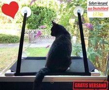 Premium Fensterplatz Katzen