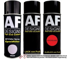 Epoxid Spraydose Set für BMW