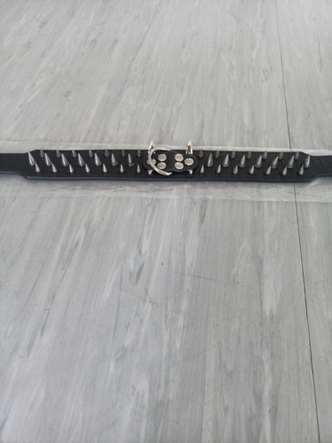 Hundehalsband mit scharfe - mit,
