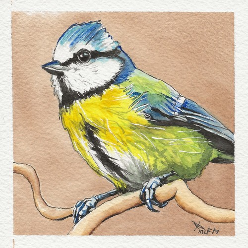 Miniatur vogel aquarell - miniatur,