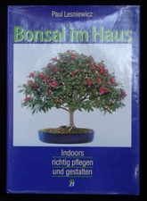 Bonsai haus paul - bonsai, im