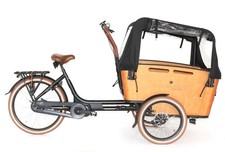Lastenrad E-Bike Vogue "Carry