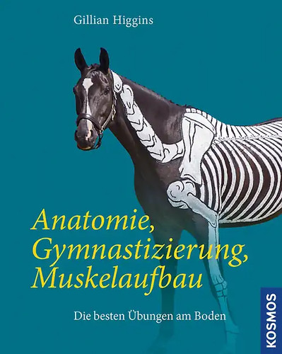 Anatomie gymnastizierung - anatomie,,