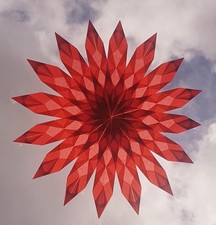 Großer Fensterstern