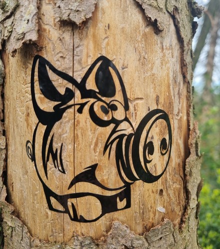 Aufkleber schwein auto sticker - schwein,