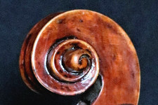 Meister Geige F. W. GUTHMANN