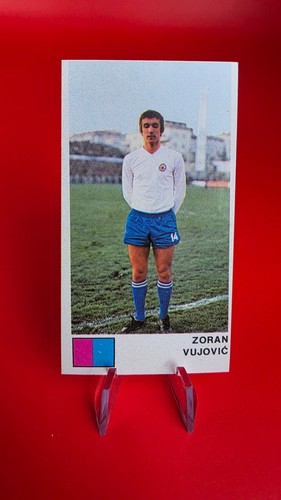 Zoran vujovic - vujovic,
