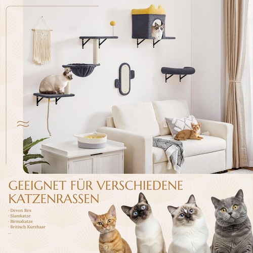 Katzen kletterwand set - katzen,