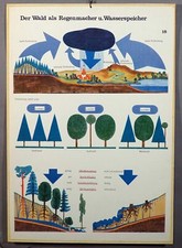 vintage Wandbild retro Poster Wald Speicher Regenmacher Wasser Ökosystem