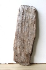 Treibholz Schwemmholz