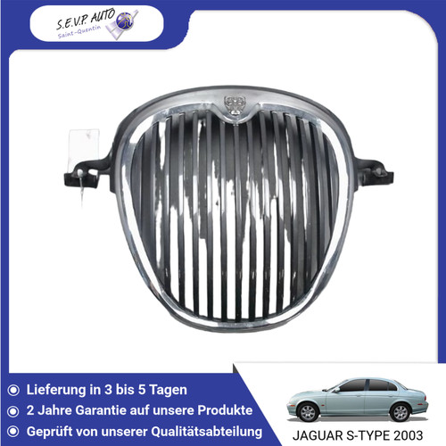 Grille jaguar - 🇩🇪,