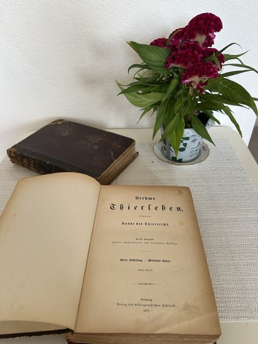 Antique 1878 brehms tierleben - antique,