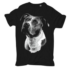T-Shirt American Staffordshire