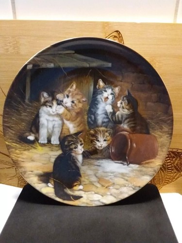 Katzen sammelteller - 1, /