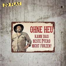 Blechschild Ohne Heu kann das