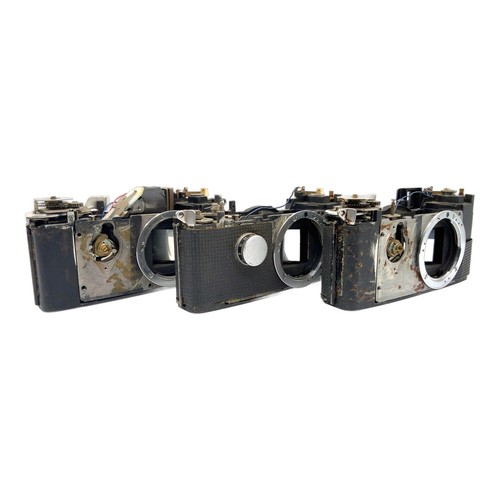 Olympus pen slr bodys - slr,