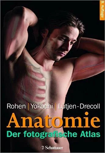 Anatomie des menschen - anatomie, der