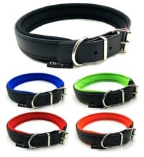 BioThane® Hundehalsband mit