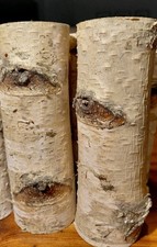 Birkenstamm Birkenast                 🔝15 cm.  Ø 5-6 cm 🕯Deko