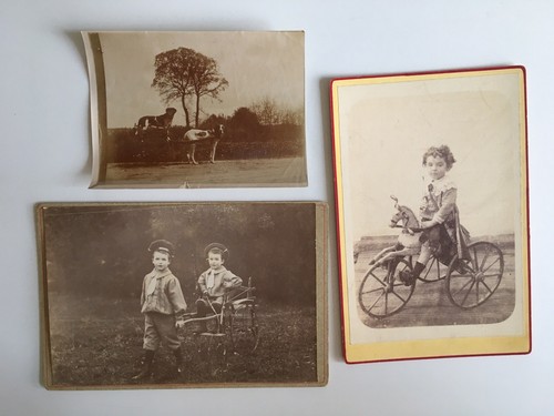 Set alte cdv foto - set,