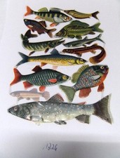 Glanzbilder Oblaten DDR