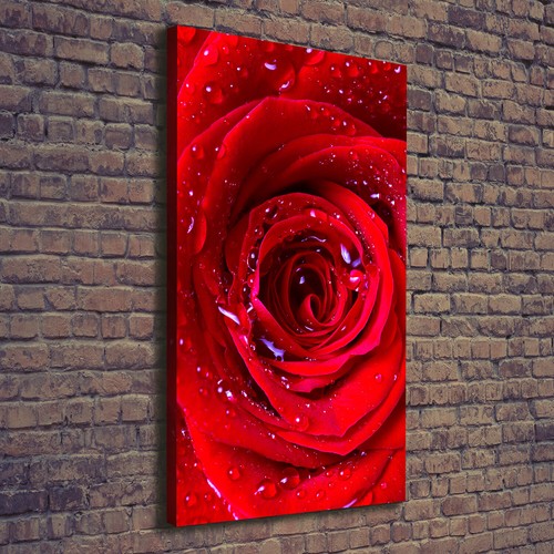 Leinwand bild kunstdruck - leinwand-bild,