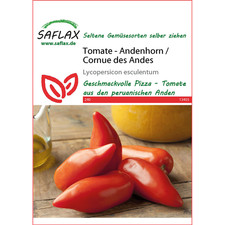 SAFLAX - Tomate - Andenhorn/Cornue des Andes - 10 Samen - Lycopersicon escu ...