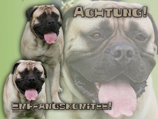 Bullmastiff hundeschild - bullmastiff,