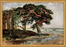 Ostseestrand Julius Wentscher Bäume Gras sanfte Brandung Wellen Maritim A1 143