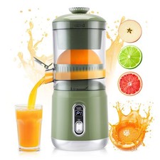 Slow Juicer Kaltpresse