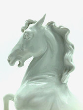 Steigendes Pferd weiß