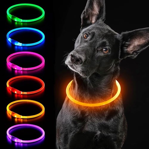 Elanox led hundhalsband - led, orange